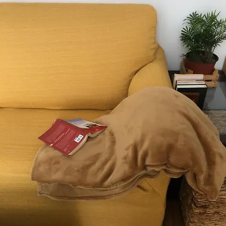 Appartamento Casa Dorina Charme E Comfort A 100 M Dal Mare *